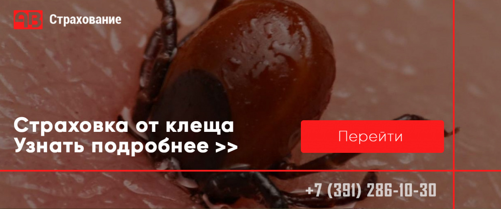 Страховка от клеща Страховка от клеща